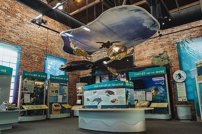 Georgia Sea Turtle Educational Center in Jekyll Island, Georgia